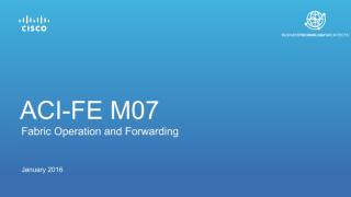 M07 - Fabric Operation and Forwarding v3.51.pdf