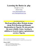 learning the basics in  php brought to you by dennis isong www.theexperthost.pdf