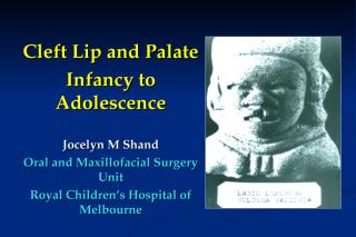 CleftUnilecture.ppt